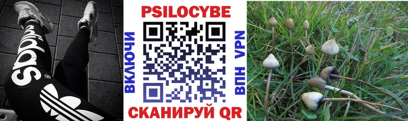 Галлюциногенные грибы Psilocybe  Первомайск 
