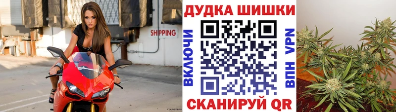 хочу наркоту  Первомайск  hydra как зайти  Шишки марихуана сатива 
